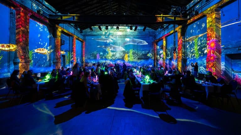 Tropical Christmas Weihnachtsfeier