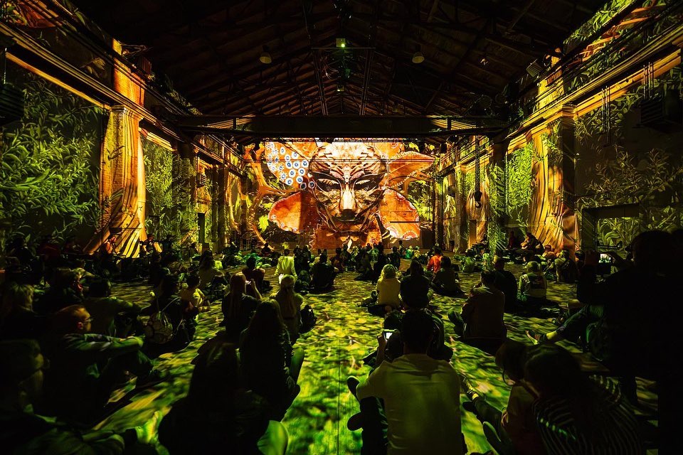 Bright-Festival-Connect-2023-Highlights20